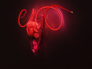 DOE II Clear Red
